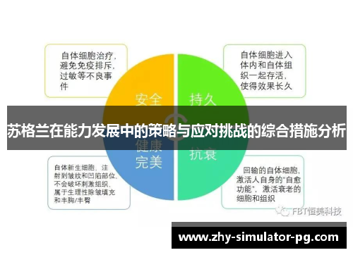 苏格兰在能力发展中的策略与应对挑战的综合措施分析 苏格兰在能力发展中的策略与应对挑战的综合措施分析